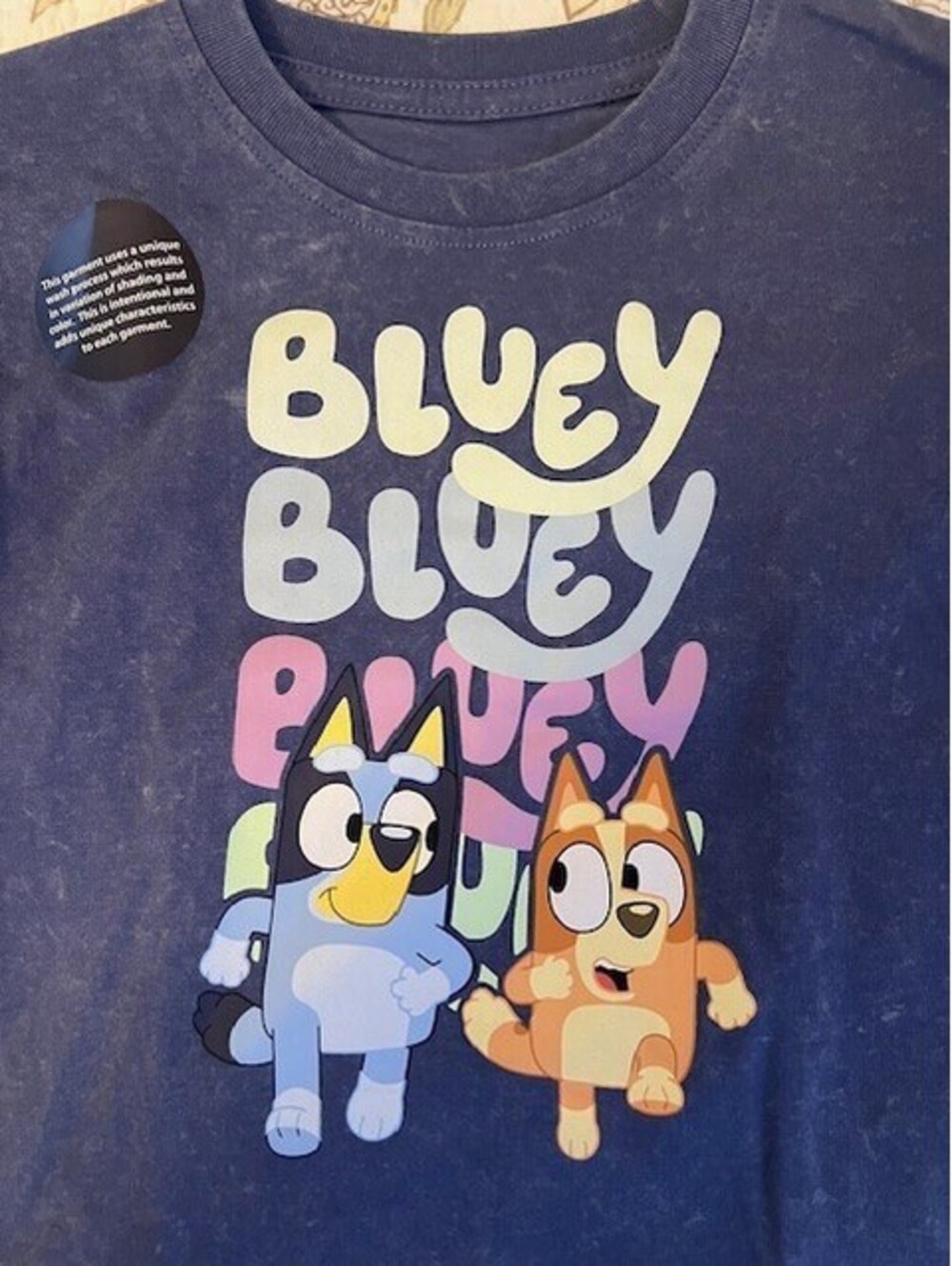 Bluey & Bingo Graphic Toddler Short Sleeve T-Shirt - Size 2T